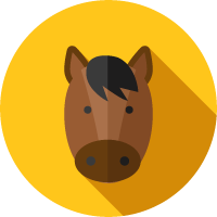 Book with a horse